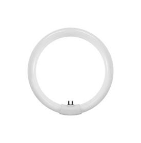 T9 Circular Fluorescent Tubes Luxram Circular